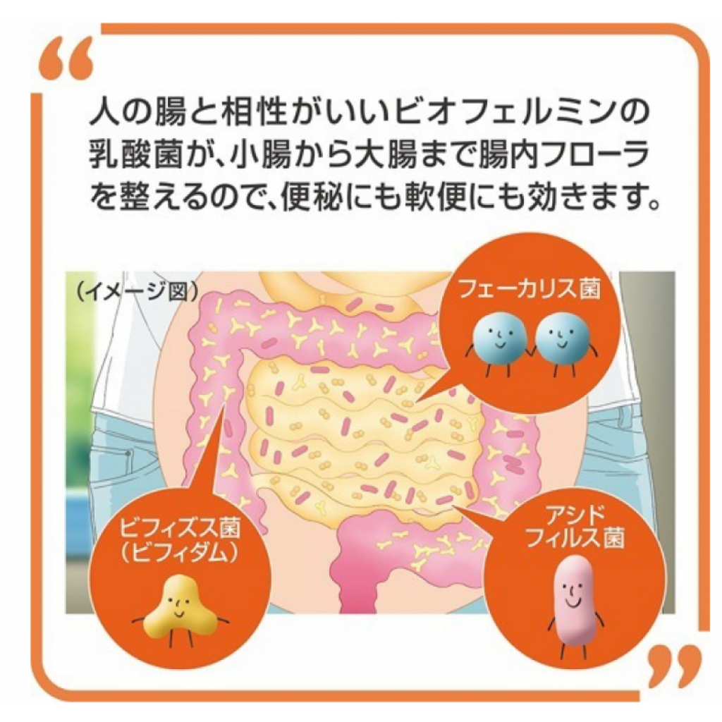 2022-shin-biofermin-004.png