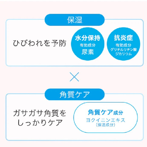 254564664.jpg